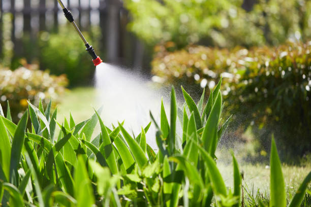 24/7 Emergency Wasp Removal experts in Elba, AL