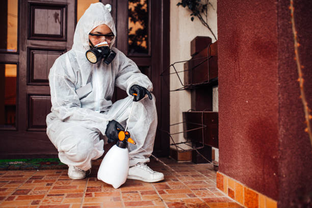 Reliable Wasp Removal contractor in Elba, AL by Show Me Pest Control